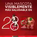Comida húmeda para perros cachorros y adultos sabor a Carne, pollo y cordero Purina One x 85gr