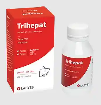 Trihepat X 100 Ml