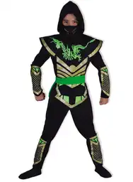 Disfraz Super Dragon Ninos Fantastic Night 1785