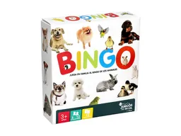 Juego de Mesa Bingo en Cartón Casaideas