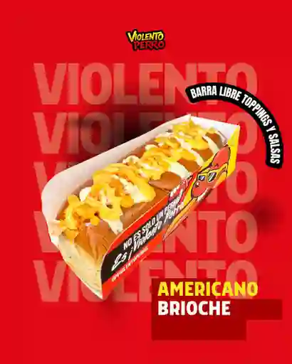 Perro americano brioche