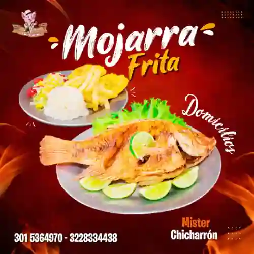 Mojarra