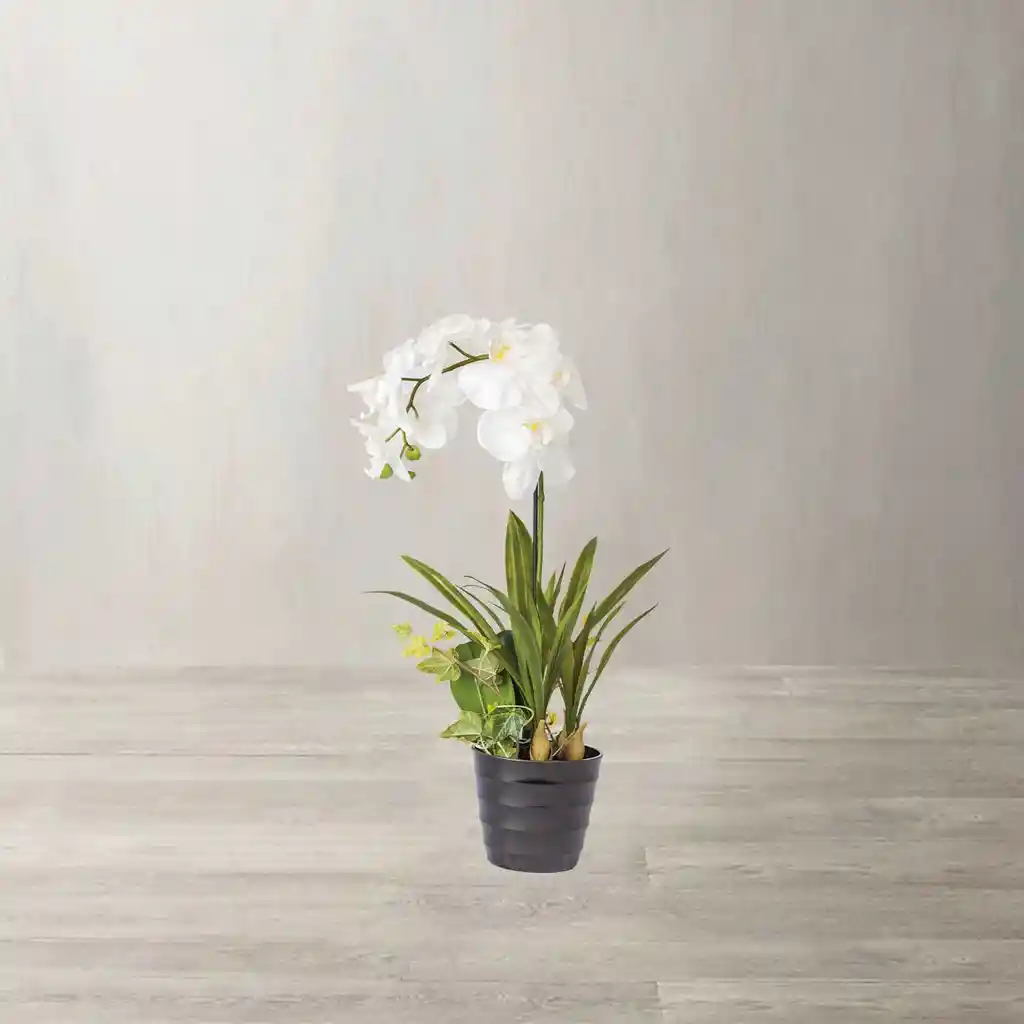 Ambiente Gourmet Flor Orquidea en Maceta 80 cm
