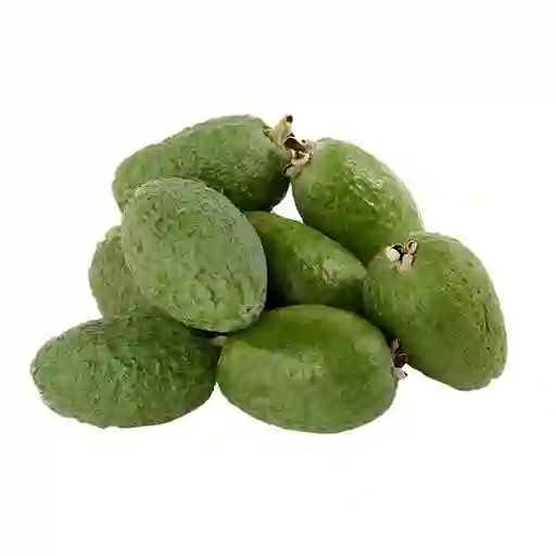 Feijoa