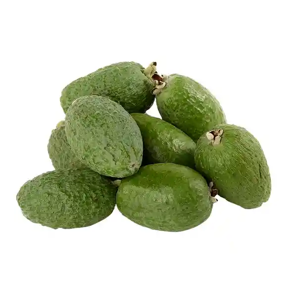 Feijoa