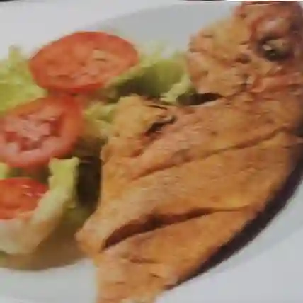 Tilapia