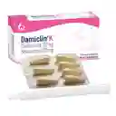 Damiclin K Óvulos Vaginales (100 mg / 400 mg)