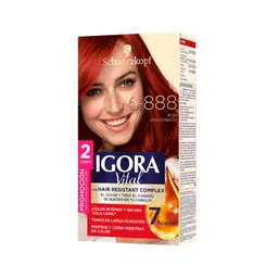 Igora Tinte Vital Rubi Apasionado 6-888 100 mL