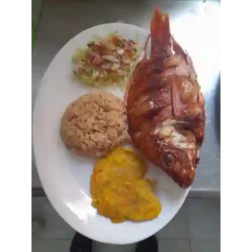 Tilapia Frita