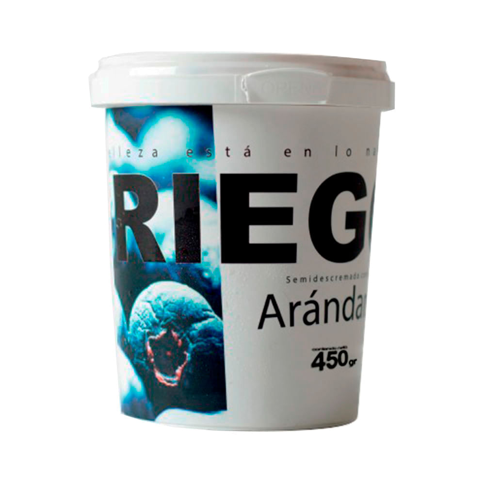 Dejamu Yogurt Griego de Arándanos 450 g
