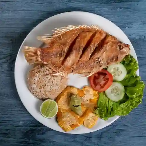 Tilapia Frita