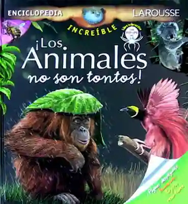 ¡Los animales no son tontos!