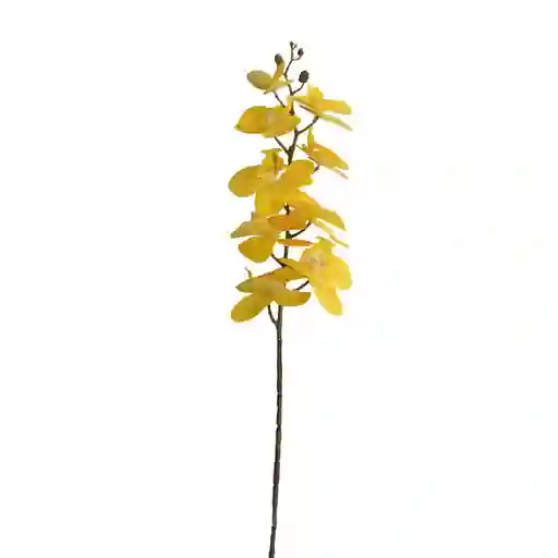 Orquidea Gio Home 3d Amarillo