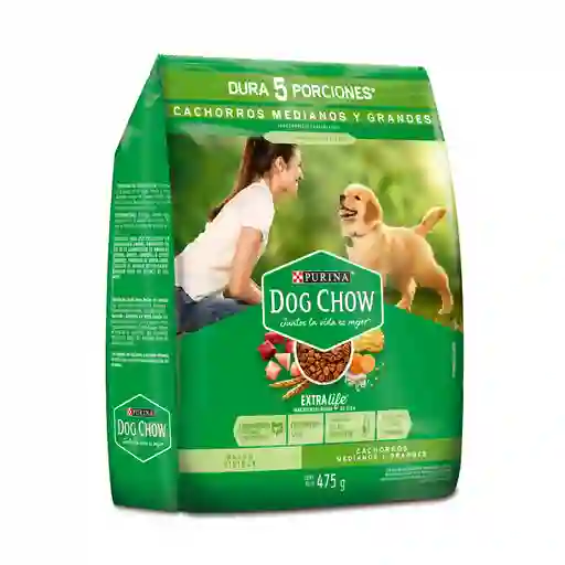 Dog Chow Alimento para Cachorros Medianos y Grandes Extra Life