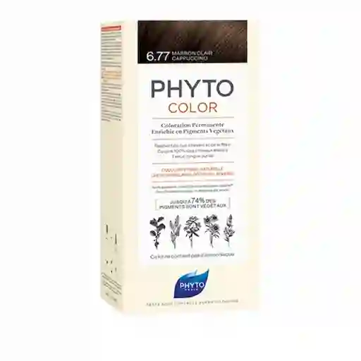 Phyto Coloración Capilar Phytocolor Ligth Brown Cappucino 6.77