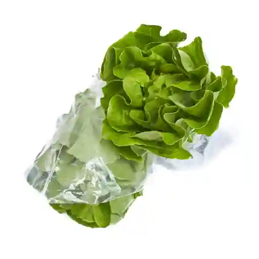 Makand Lechuga Verde Lisa Fresca