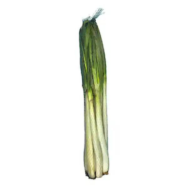 Members Selection Cebolla Larga