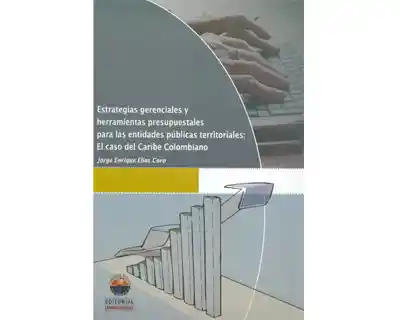 Estrategias gerenciales y herramientas presupuestales para las entidades públicas territoriales: el caso del Caribe colombiano