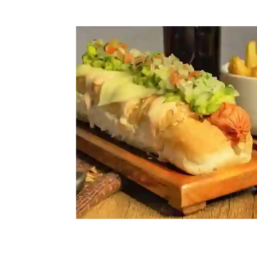 Perro Mexicano