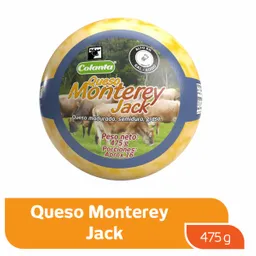 Colanta Queso Monterey Jack