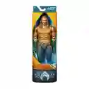 Dc Figura Surtida Aquaman 12