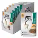 Comida humeda para gatitos sabor a pollo Purina Pro Plan x 85gr