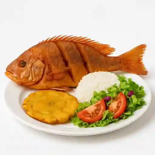 Mojarra Roja Frita