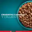 Comida para Gatitos Pollo y Carne Purina One x 500gr
