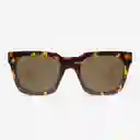 Knockaround Gafas Songbirds Tortoise