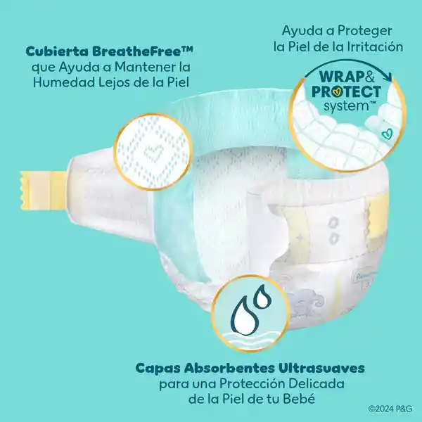 Pampers Swaddlers Pañal Desechables Etapa 6 16 Und​
