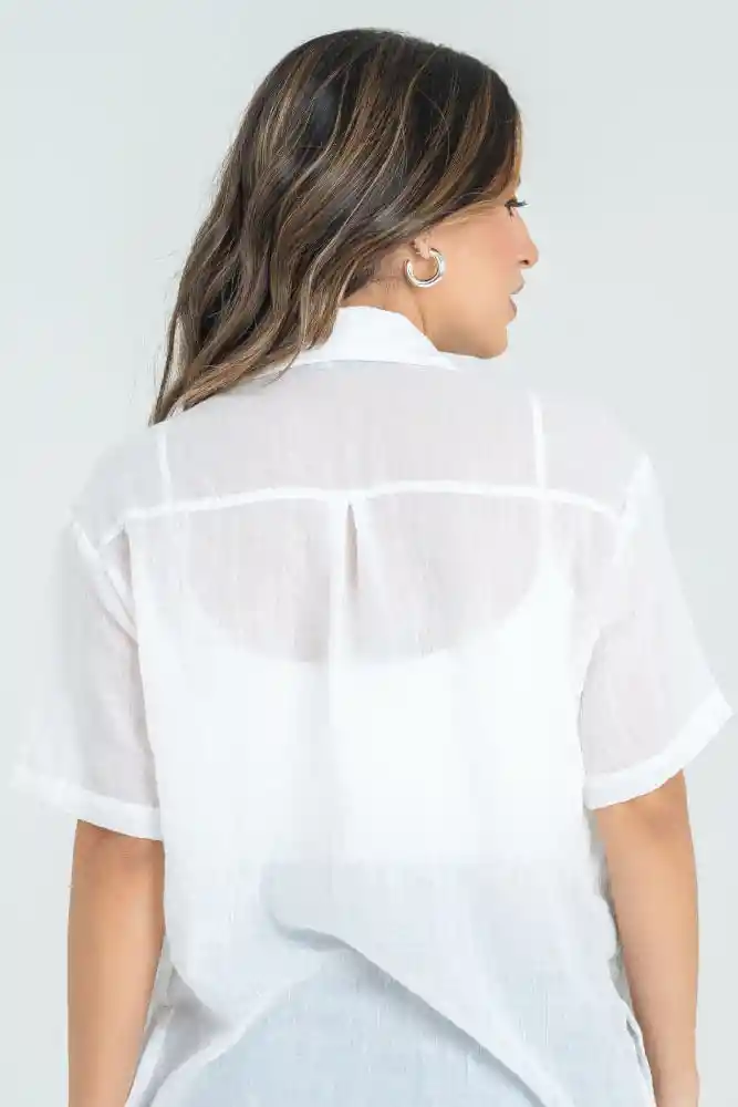 Bluson Cotton