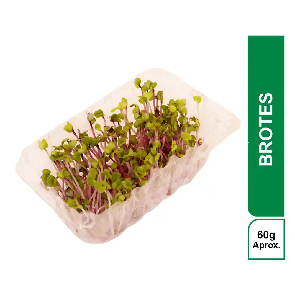 Kampos Brotes Turbo 60g