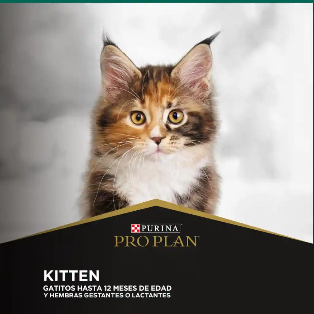 Comida para Gatitos Purina Pro Plan x 3 kg