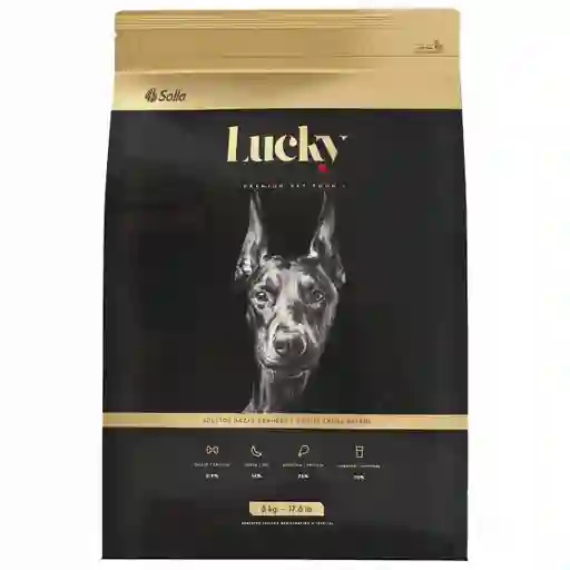 Lucky Adultos Razas Grandes 8Kg