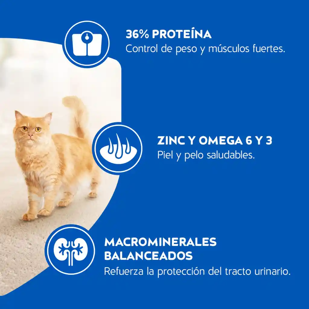 Comida para gatos Purina Cat Chow esterilizados x 1,5kg