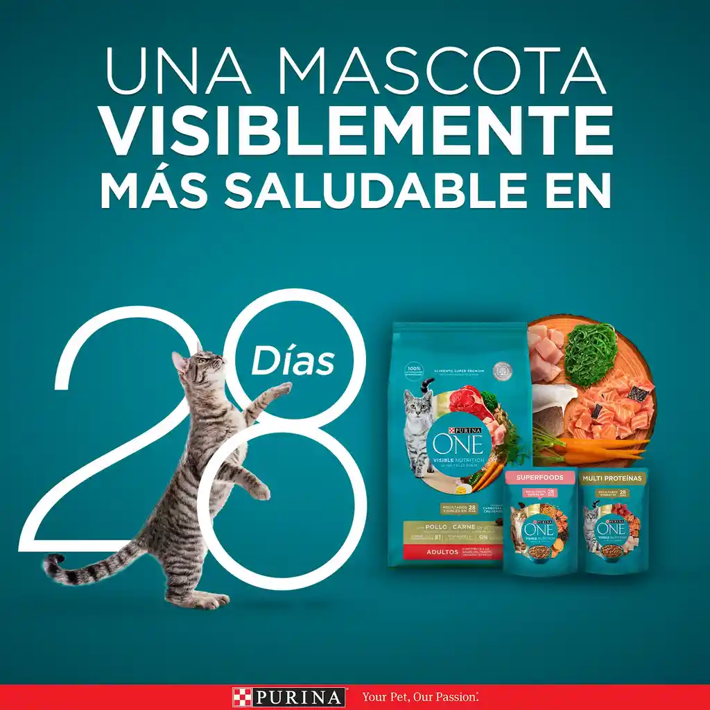 Comida para Gato Pollo y Carne Purina One x 500gr