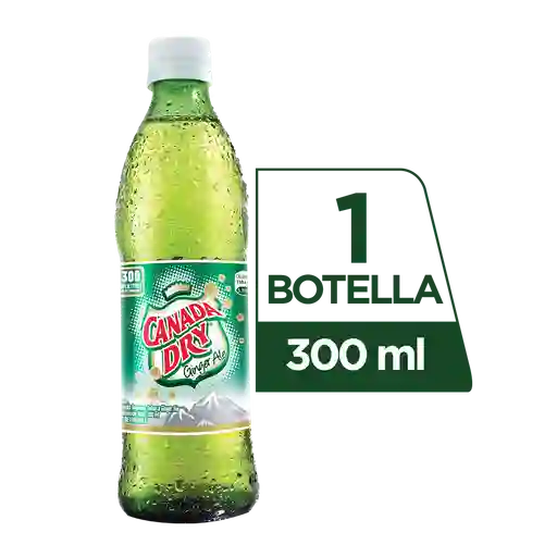 Canada Dry Ginger Ale 300 ml