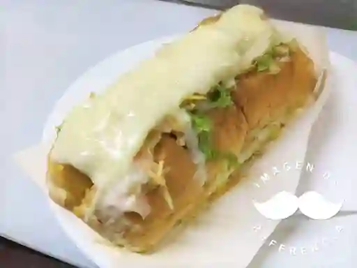 Perro Salvaje Choributi