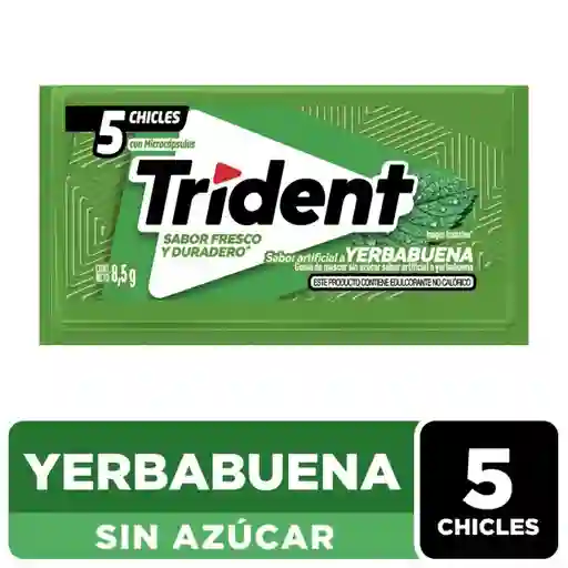 Chicle Trident Sin Azúcar Sabor Hierbabuena 5 Unid