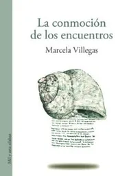 Una mujer observa cómo una invasión de pavos reales se apodera del jardín de su nueva casa, y luego del barrio entero, en un país que no es el suyo. Recuerda su llegada al lugar que es ahora su hogar y cuenta cómo, mientras trata de instalarse, descubre por casualidad un taller de escritura en el que acabará encontrando a un personaje memorable. Poco a poco va entendiendo lo que significa ser extranjera, la verdadera cara que se esconde detrás de sus simpáticos vecinos, o lo que implica lidiar con una enfermedad compleja lejos de su tierra natal. Aunque pueden leerse de manera autónoma, los cuentos que componen este libro de relatos están ligados por una serie de temas que residen, silenciosos, en el trasfondo de cada historia: la pregunta por la identidad, lo complejo que resulta tantas veces vivir en otro país, la diversidad racial o la melancolía que a veces aflora por el lugar que se ha dejado atrás. Estos relatos de Marcela Villegas &#151;quien con su primera novela, Camposanto, ganó el Premio Nacional de Novela Corta de la Universidad Javeriana&#151;, tienen la rara capacidad de dibujar personajes entrañables en pocas líneas, y dejar flotando en el lector situaciones que, aunque corrientes en apariencia, en su tejido minucioso nos revelan profundas verdades sobre la condición humana. Lo que hace, precisamente, la buena literatura. Martín Franco Vélez