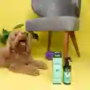 Lulopet Neutralizer Green Eliminador Olores Mascotas - 250ml