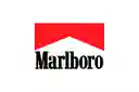 Marlboro Vista Forest Cigarrillos Cartón