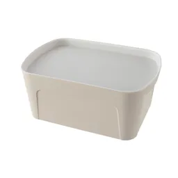 Caja Organizadora Plástica Solida Arena Letras