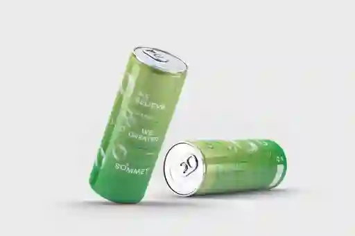 Pepino y Hierbabuena 310 ml