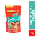 Can Amor Galletas para Gatos con Vitaminas y Minerales