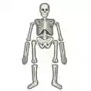 Kidzlabs Glow Human Skeleton - Equipo Editorial