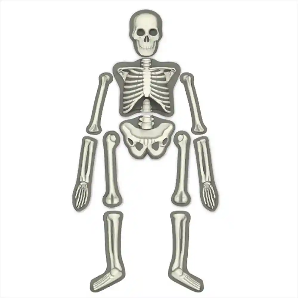 Kidzlabs Glow Human Skeleton - Equipo Editorial