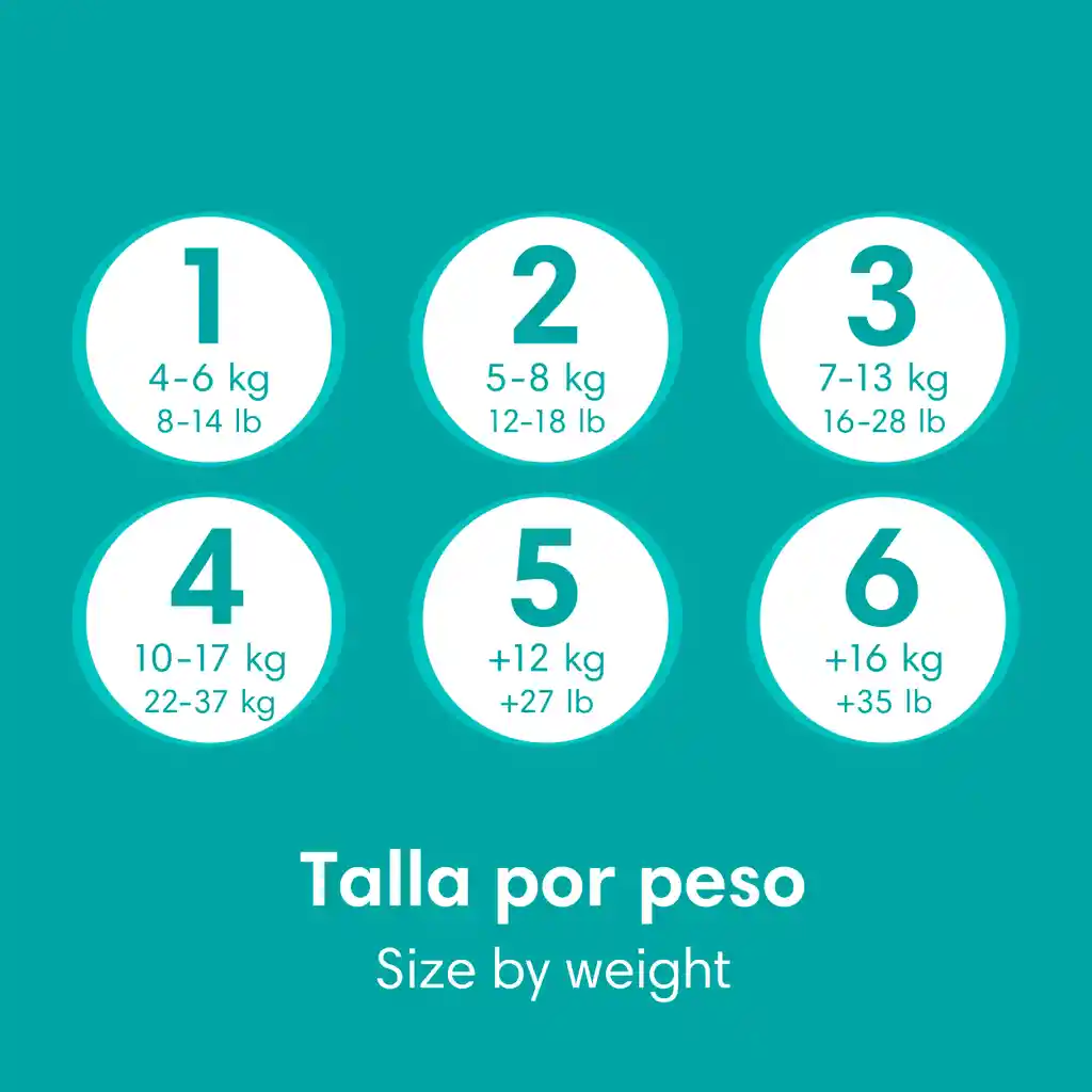 Pampers Pañales Baby-Dry Talla 7 x 88 Unidades