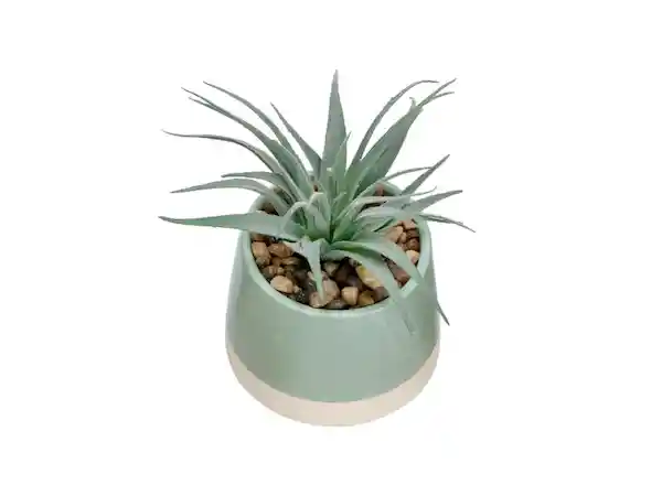 Maceta Cactus Dúo Celeste Casaideas