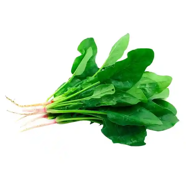 Espinaca